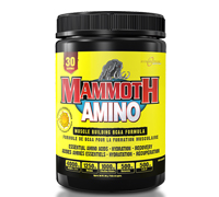 mammoth-amino-30serv.jpg