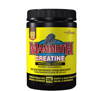 mammoth-creatine-300g.jpg