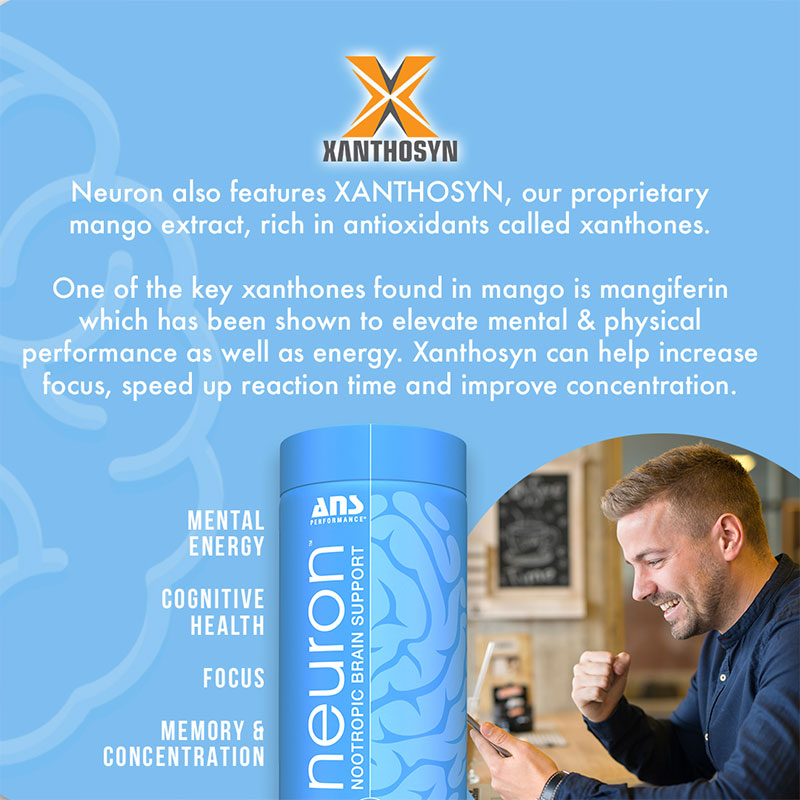 ANS Performance Neuron Nootropic Brain Support