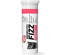 hammer-nutrition-endurolytes-fizz-13-tablets-grapfruit