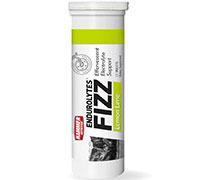 Hammer Nutrition Endurolytes FIZZ