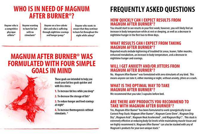 magnum-afterburner-info4.jpg